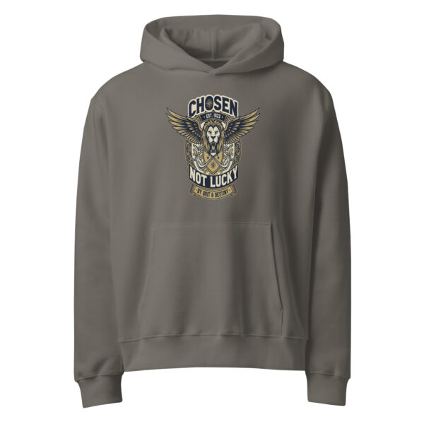 Oversized heavyweight hoodie Vintage College Style Graphic