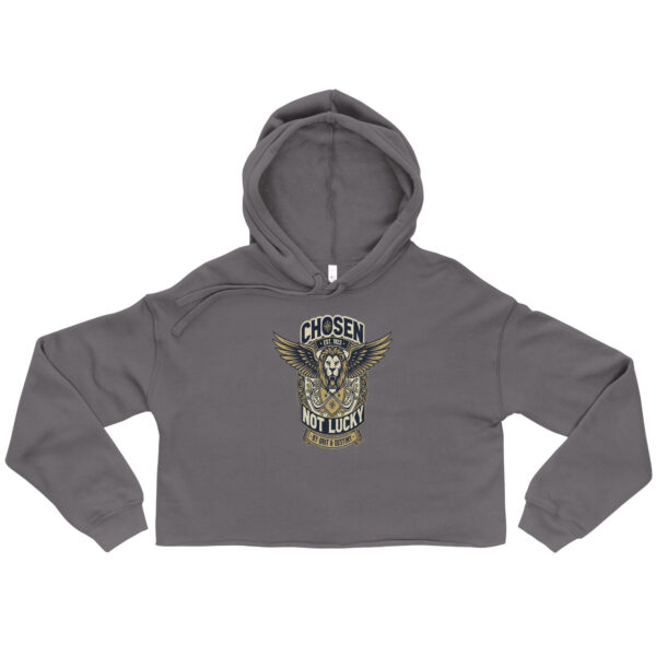 Crop Hoodie Vintage College Style Graphic